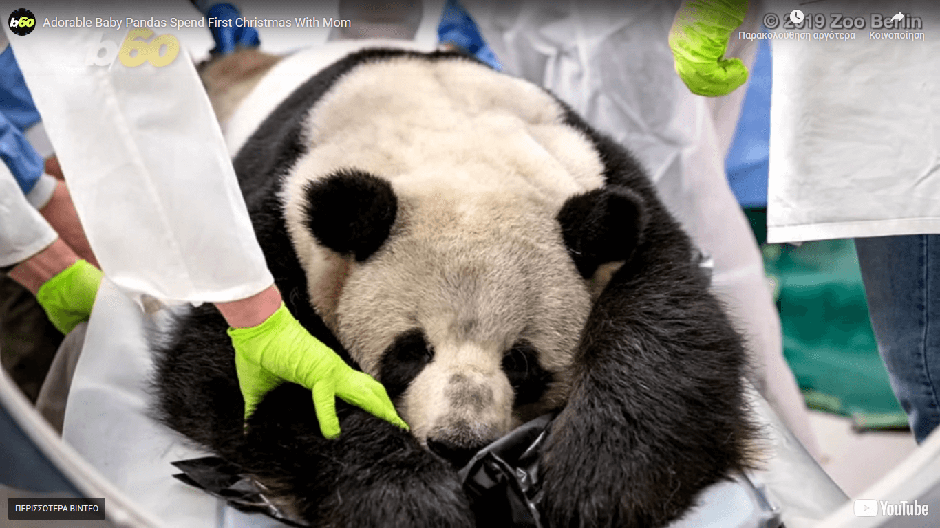 Μωρά πάντα περνάνε τα πρώτα τους Χριστούγεννα