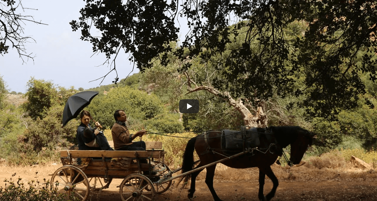 Λούγκερ / Luger