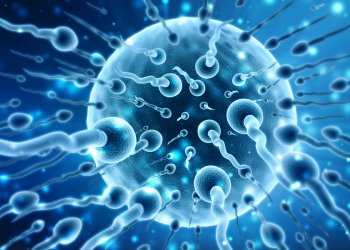 ΕΤΟΙΜΑΖΕΤΑΙ ΚΑΜΠΑΝΙΑ ΓΙΑ ΤΗΝ ΓΟΝΙΜΟΤΗΤΑ