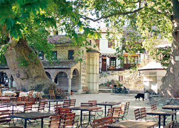 Σώστε το Πήλιο τώρα ! Η φωνή του Ελληνοαμερικανου καθηγητή για την μοναδική Τσαγκαραδα