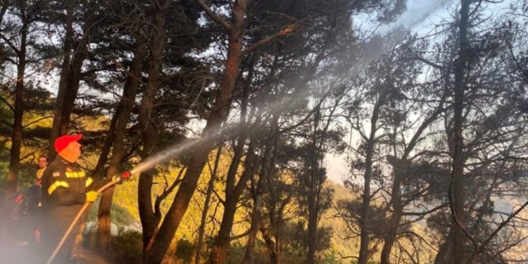 Φωτιές: Μάχη να μην μπουν οι φλόγες στο χωριό Βάτι στη Ρόδο – Εκκενώθηκε η περιοχή Λούτσες στην Κέρκυρα Φωτιές: Μάχη να μην μπουν οι φλόγες στο χωριό Βάτι στη Ρόδο – Εκκενώθηκε η περιοχή Λούτσες στην Κέρκυρα