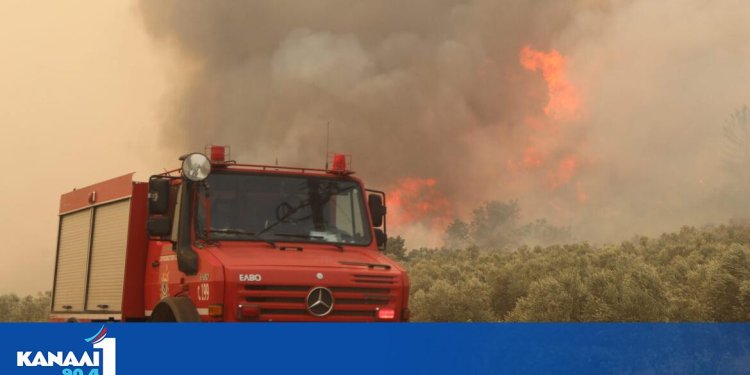 Κ. Καραγκούνης: «Κακούργημα ο εμπρησμός, μέχρι και ισόβια οι ποινές» (ηχητικό)