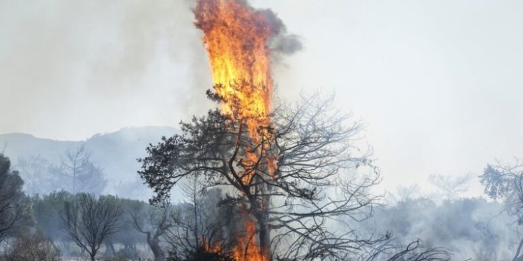 Εβρος: Μαίνεται για 15η μέρα η φωτιά – Σε Σουφλί, Κορνοφωλιά και Δαδιά τα μέτωπα Εβρος: Μαίνεται για 15η μέρα η φωτιά – Σε Σουφλί, Κορνοφωλιά και Δαδιά τα μέτωπα
