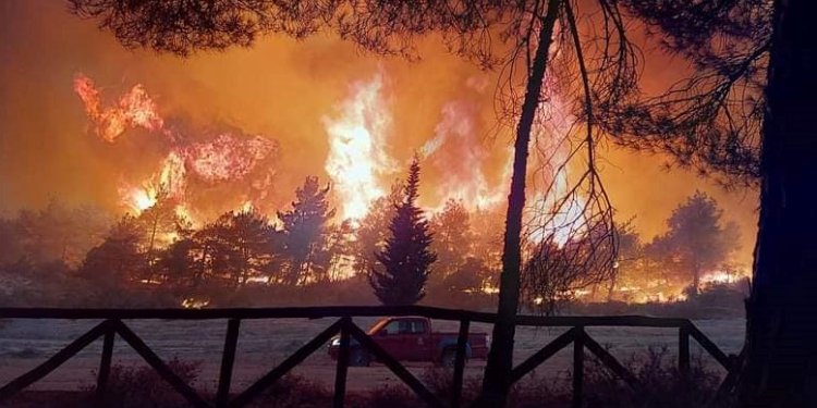 Απίστευτη τραγωδία! Πληροφορίες για δεκάδες απανθρακωμένους μετανάστες στο δάσος της Δαδιάς Απίστευτη τραγωδία! Πληροφορίες για δεκάδες απανθρακωμένους μετανάστες στο δάσος της Δαδιάς
