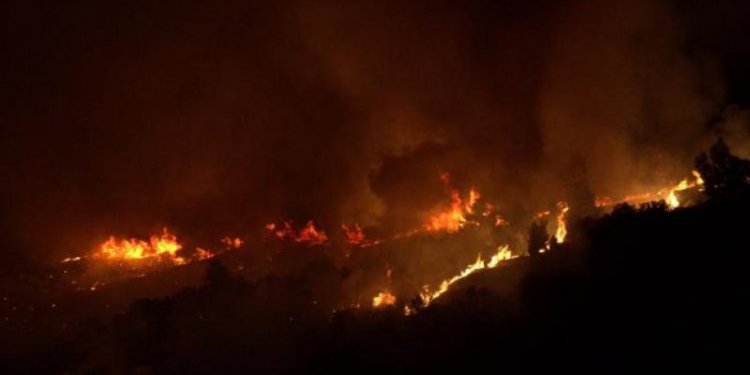 Αλεξανδρούπολη: Εκτός ελέγχου η φωτιά – Εκκενώνονται οικισμοί, οι φλόγες στα σπίτια Αλεξανδρούπολη: Εκτός ελέγχου η φωτιά – Εκκενώνονται οικισμοί, οι φλόγες στα σπίτια