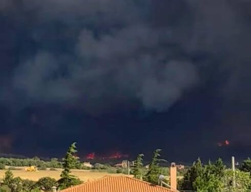 Φωτιές παντού ! Σε Εύβοια, Βοιωτία και Αλεξανδρούπολη – Απειλούνται σπίτια, άνεμοι 9 μποφόρ