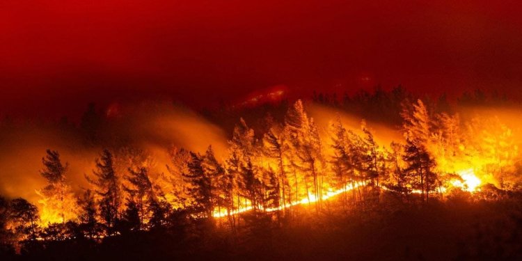 Πύρινη κόλαση σε Εβρο , Εύβοια, Καβάλα, Βοιωτία και Αλεξανδρούπολη. Ενεργοποιηθηκε ο Ευρωπαϊκός μηχανισμός προστασίας