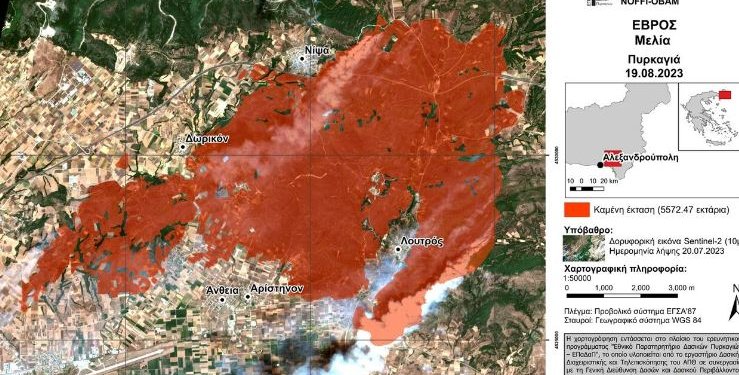 Φωτιά στην Αλεξανδρούπολη: Κάηκαν τουλάχιστον 75.000 στρέμματα Φωτιά στην Αλεξανδρούπολη: Κάηκαν τουλάχιστον 75.000 στρέμματα