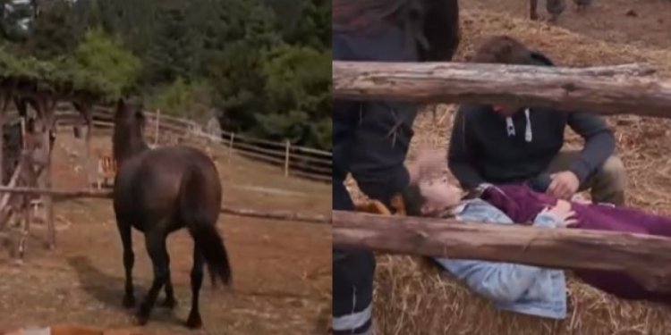 Σοβαρό ατύχημα διαγωνιζόμενης στη Φάρμα: Την χτύπησε άλογο (vid)