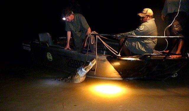 Αυστραλία: Ζωολόγος που εργαζόταν για το BBC παραδέχεται ότι βίασε και βασάνισε πάνω από 40 σκύλους στο καταφύγιο ζώων του Αυστραλία: Ζωολόγος που εργαζόταν για το BBC παραδέχεται ότι βίασε και βασάνισε πάνω από 40 σκύλους στο καταφύγιο ζώων του