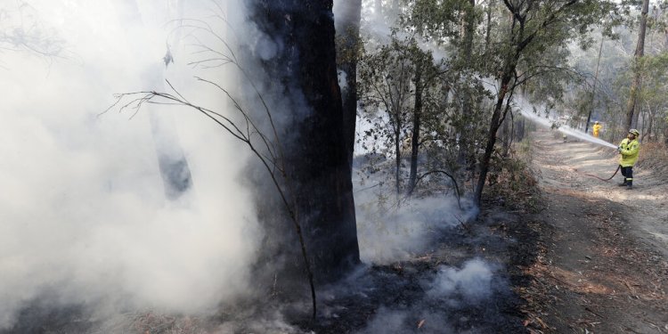 Αυστραλία: Στο «μάτι» του Ελ Νίνιο ο Ειρηνικός – Ύψιστος συναγερμός για ακραία ζέστη και πυρκαγιές Αυστραλία: Στο «μάτι» του Ελ Νίνιο ο Ειρηνικός – Ύψιστος συναγερμός για ακραία ζέστη και πυρκαγιές