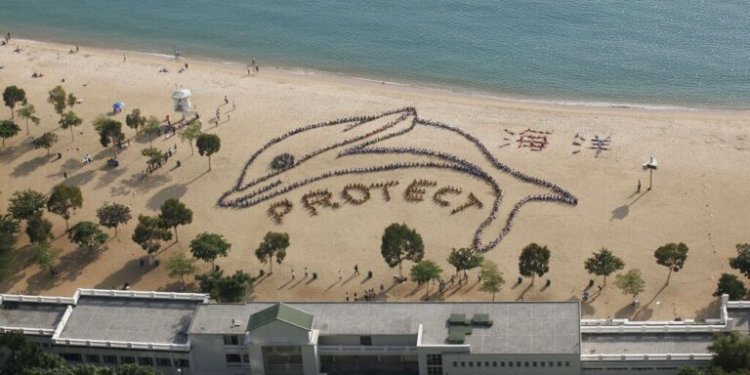 ΟΗΕ: Εξήντα επτά κράτη υπέγραψαν τη Συνθήκη για την Ανοικτή Θάλασσα που αποσκοπεί στην προστασία των ωκεανών ΟΗΕ: Εξήντα επτά κράτη υπέγραψαν τη Συνθήκη για την Ανοικτή Θάλασσα που αποσκοπεί στην προστασία των ωκεανών