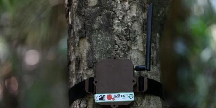 Τεχνητή νοημοσύνη για τη διάσωση του Αμαζονίου της Βραζιλίας Τεχνητή νοημοσύνη για τη διάσωση του Αμαζονίου της Βραζιλίας