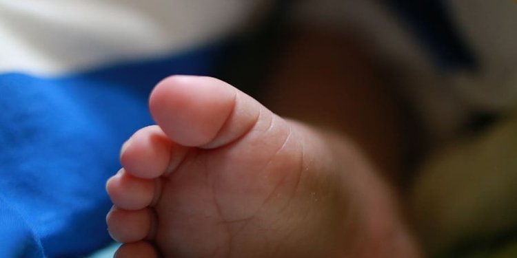 Πολωνία: Τα λείψανα 3 νεογέννητων βρέθηκαν σε σπίτι «του τρόμου» – Προέρχονταν από αιμομικτική σχέση πατέρα με τις κόρες του