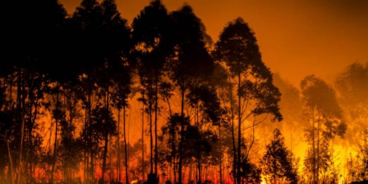 Πρωταθλήτρια καμένων εκτάσεων η Ελλάδα σε Ευρώπη, Μέση Ανατολή και Βόρεια Αφρική το 2023 Πρωταθλήτρια καμένων εκτάσεων η Ελλάδα σε Ευρώπη, Μέση Ανατολή και Βόρεια Αφρική το 2023