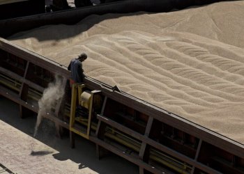 Πολωνός υπ. Γεωργίας: Οι συνομιλίες με το Κίεβο για τα σιτηρά είναι σε σωστό δρόμο