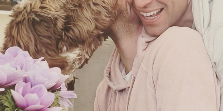 Στέφανος Κασσελάκης: Έχει τρεις Αστυνομικούς και ένα υπηρεσιακό όχημα της ΕΛ.ΑΣ.