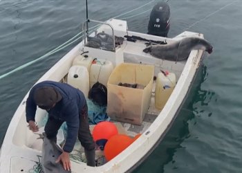 Ένθετο Κόσμος: Στη Γροιλανδία η κλιματική αλλαγή απειλεί την επιβίωση των Ινούιτ