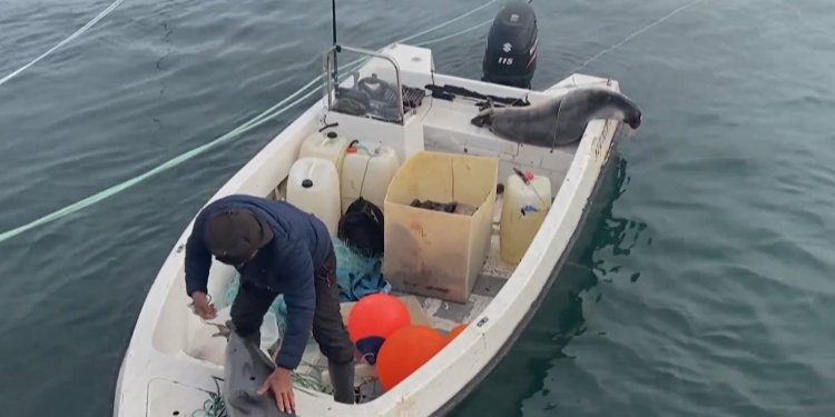 Ένθετο Κόσμος: Στη Γροιλανδία η κλιματική αλλαγή απειλεί την επιβίωση των Ινούιτ