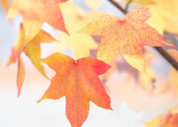 Μικρή πτώση της θερμοκρασίας – Πού θα βρέξει