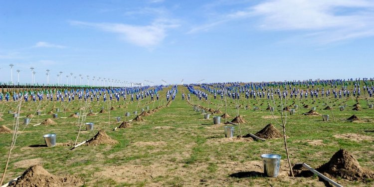 Το έρημο Τουρκμενιστάν φυτεύει 470.000 δέντρα