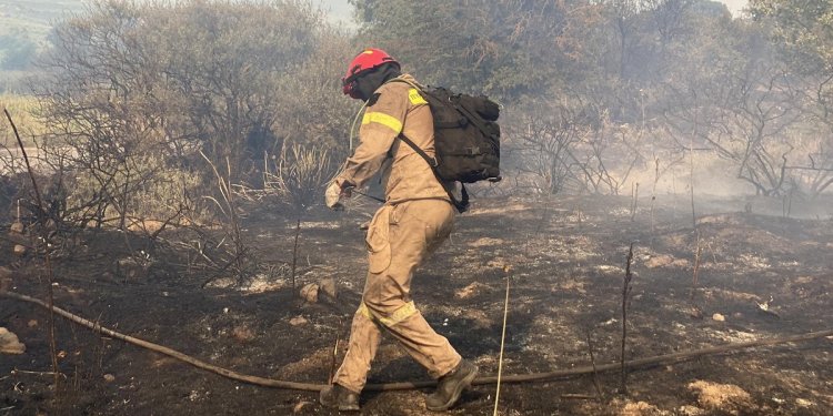 Βλ. Πούτιν: Αντιμέτωπος με τον ‘σωσία’ του στο πεδίο της Τεχνητής Νοημοσύνης Βλ. Πούτιν: Αντιμέτωπος με τον ‘σωσία’ του στο πεδίο της Τεχνητής Νοημοσύνης