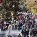 Συγκρατημένες οι τιμές στο χριστουγεννιάτικο τραπέζι – Υπό πίεση η αγοραστική δύναμη του καταναλωτή