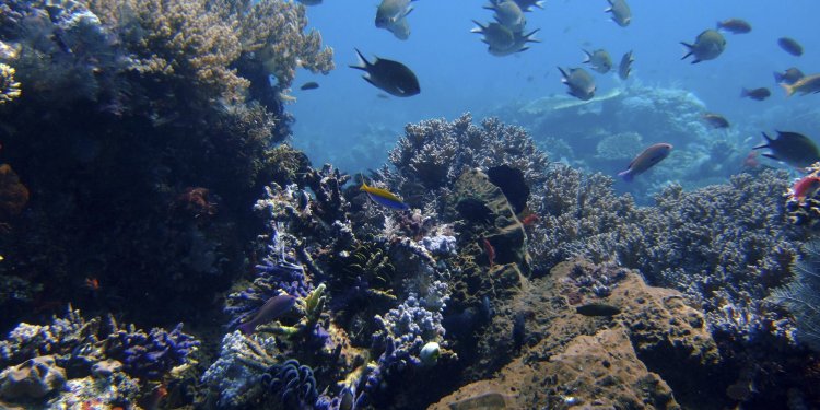 EFE: Ισπανικές οργανώσεις ζητούν μορατόριουμ στην υποβρύχια εξόρυξη από τον Ειρηνικό μέχρι την Αλάσκα EFE: Ισπανικές οργανώσεις ζητούν μορατόριουμ στην υποβρύχια εξόρυξη από τον Ειρηνικό μέχρι την Αλάσκα