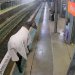 Βίντεο: Άλογο κόβει βόλτες σε σταθμό τρένου στην Αυστραλία
