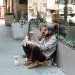Στις ΗΠΑ μειώνονται οι… φτωχοί, αλλά αυξάνονται οι… ALICEs