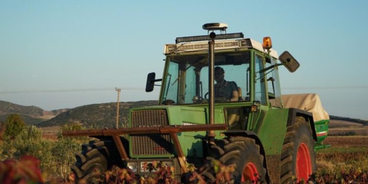 Δ. Σταμενίτης στο ΕΡΤΝews: Τις επόμενες μέρες θα εκδοθεί η «Κάρτα του Αγρότη» – Εντείνονται οι έλεγχοι στην αγορά ενόψει Πάσχα