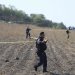 Μεξικό: Πτώματα που εικάζεται ότι ανήκουν στους δύο Αυστραλούς και τον Αμερικανό φέρουν από μία σφαίρα στο κεφάλι