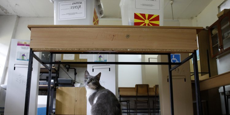 Βόρεια Μακεδονία: Σε εξέλιξη η ψηφοφορία για τις «διπλές εκλογές» από τις οποίες αναμένεται να προκύψει αλλαγή του πολιτικού σκηνικού