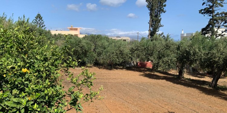 Μέχρι 54.000 ευρώ και δύο χρόνια φυλάκιση η ποινή στα ακαθάριστα οικόπεδα για «περιβαλλοντικούς λόγους»! – FANTOMAS.GR