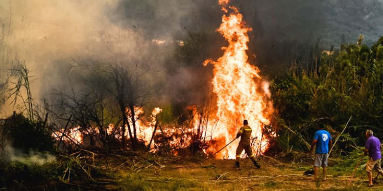 Δραματική η κατάσταση της φωτιάς στην Ηλεία Δραματική η κατάσταση της φωτιάς στην Ηλεία