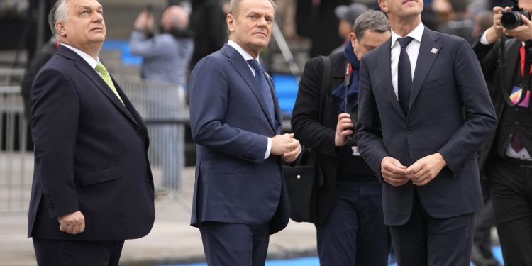 Ολλανδία: Η υποψηφιότητα του Μ. Ρούτε για τη θέση του Γενικού Γραμματέα του ΝΑΤΟ δεν βρίσκει αντίθετη την Ουγγαρία Ολλανδία: Η υποψηφιότητα του Μ. Ρούτε για τη θέση του Γενικού Γραμματέα του ΝΑΤΟ δεν βρίσκει αντίθετη την Ουγγαρία