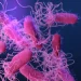 Μαγνησία: Μία νεκρή με συμπτώματα γαστρεντερίτιδας