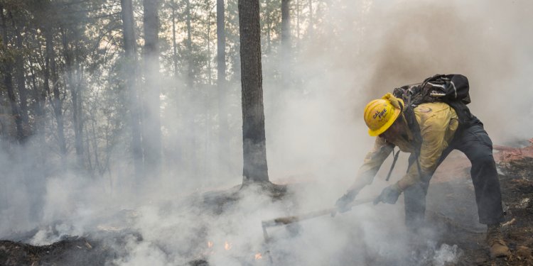 Ανεξέλεγκτη μαίνεται η δασική πυρκαγιά στην Καλιφόρνια – Από τις μεγαλύτερες που έχουν καταγραφεί ποτέ στην πολιτεία