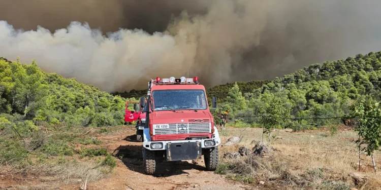 Μάχη με τις φλόγες στην Εύβοια Μάχη με τις φλόγες στην Εύβοια