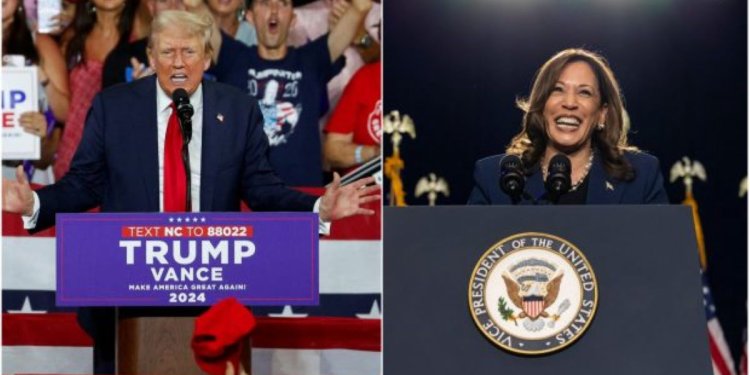 Δημοσκόπηση WSJ: Προβάδισμα δύο μονάδων του Τραμπ έναντι της Χάρις 100 ημέρες πριν από τις εκλογές