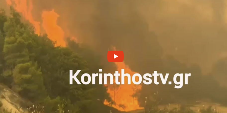 “Επιτελική” κόλαση φωτιάς στην Κορινθία: Κραυγή αγωνίας από Δημάρχους και πολίτες -“Δεν έχουμε νερο “ “Επιτελική” κόλαση φωτιάς στην Κορινθία: Κραυγή αγωνίας από Δημάρχους και πολίτες -“Δεν έχουμε νερο “