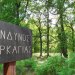 Πολύ υψηλός κίνδυνος πυρκαγιάς και για αύριο – FANTOMAS.GR