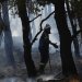 Ύψιστος συναγερμός για τις φωτιές μέχρι τον Δεκαπενταύγουστο – Τα έκτακτα μέτρα που αποφάσισε η διυπουργική