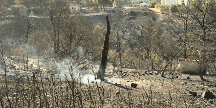 Σφοδρή επίθεση του ΟΟΣΑ στην Ελλάδα για τις φωτιες