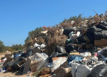 Εστίες φωτιάς και εικόνα βρώμικης πόλης η Χαλκίδα