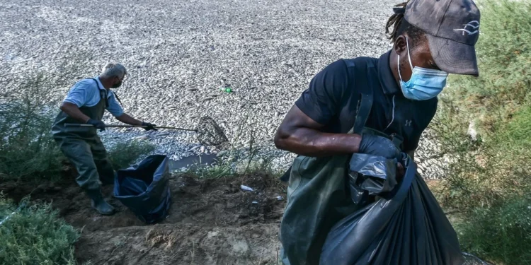 Διεθνές ζήτημα η οικολογική καταστροφή με τα ψαρια στον Βολο Διεθνές ζήτημα η οικολογική καταστροφή με τα ψαρια στον Βολο