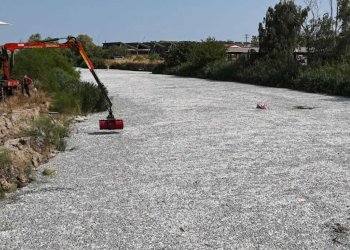 Βόλος: Θέμα στα διεθνή ΜΜΕ η υπόθεση με τα νεκρά ψάρια