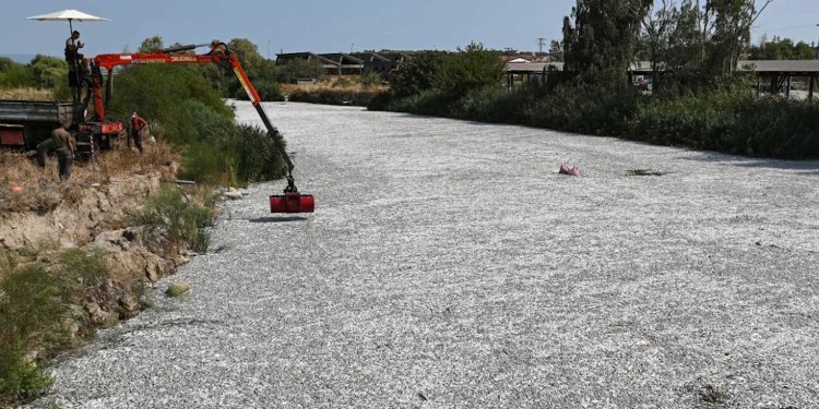 Βόλος: Θέμα στα διεθνή ΜΜΕ η υπόθεση με τα νεκρά ψάρια Βόλος: Θέμα στα διεθνή ΜΜΕ η υπόθεση με τα νεκρά ψάρια