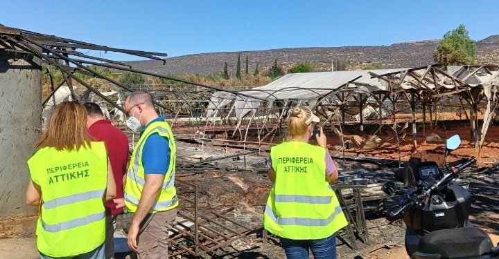 Ολοκληρώθηκαν οι αυτοψίες της Περιφέρειας Αττικής στις πυρόπληκτες επιχειρήσεις