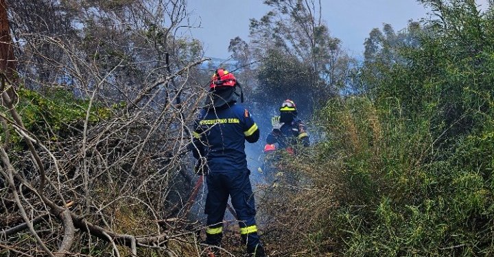 Ρέθυμνο: Πυρκαγιά στις Καρίνες
